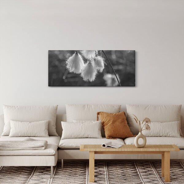 Kép - Cottongrass (120x50 cm)
