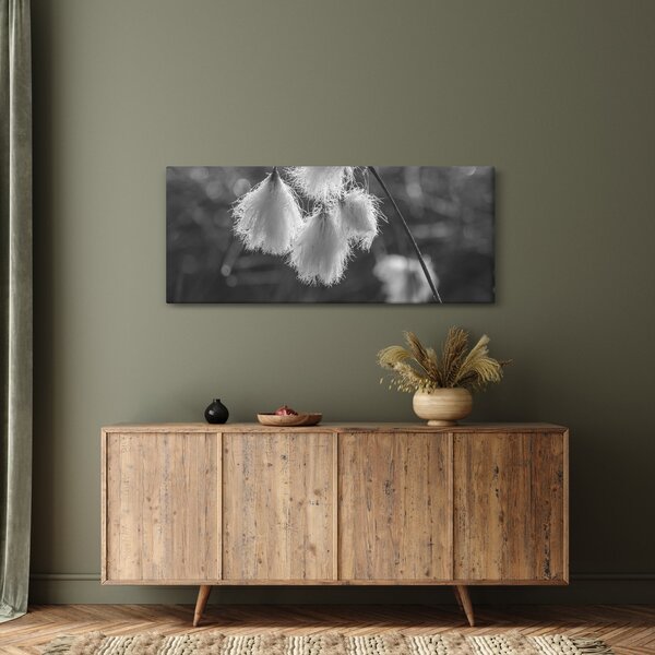 Kép - Cottongrass (120x50 cm)