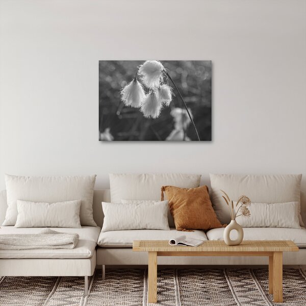 Kép - Cottongrass (70x50 cm)