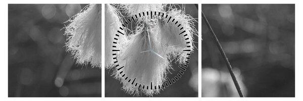 Kép - Cottongrass (órával) (90x30 cm)
