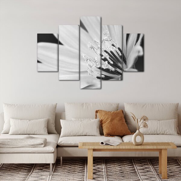 Kép - Fekete-fehér virág (150x105 cm)