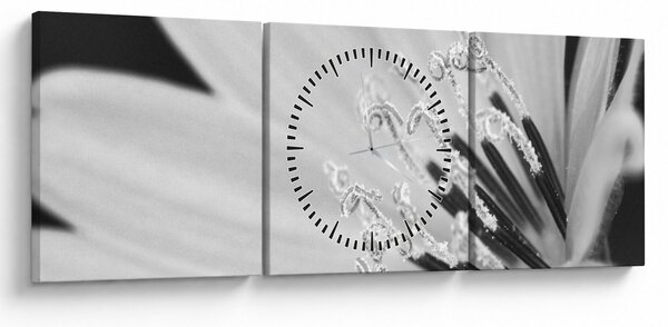 Kép - Fekete-fehér virág (órával) (90x30 cm)