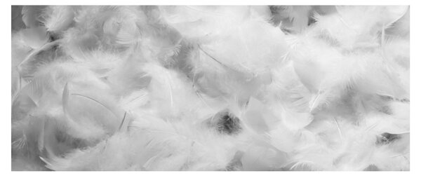 Kép - Színű tollfelhők (120x50 cm)