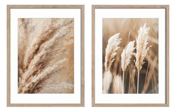 Kép szett 2 db-os 30x40 cm Selloana – Styler