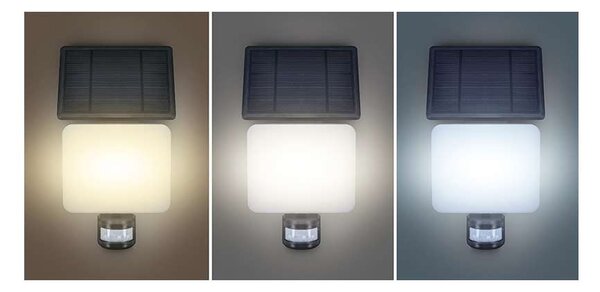 WO785-1 LED szolár lámpa érzékelővel, fekete