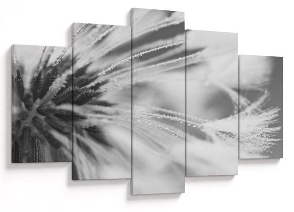 Kép - Pitypang (150x105 cm)