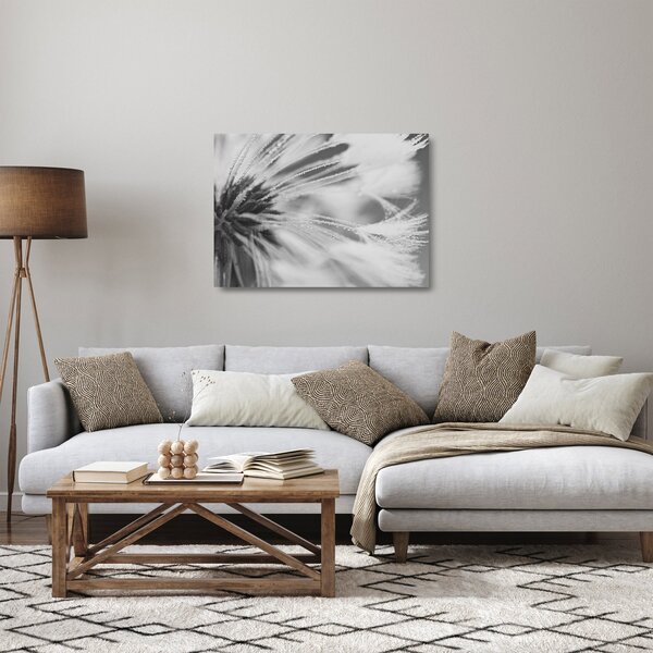 Üveg kép - Pitypang (70x50 cm)