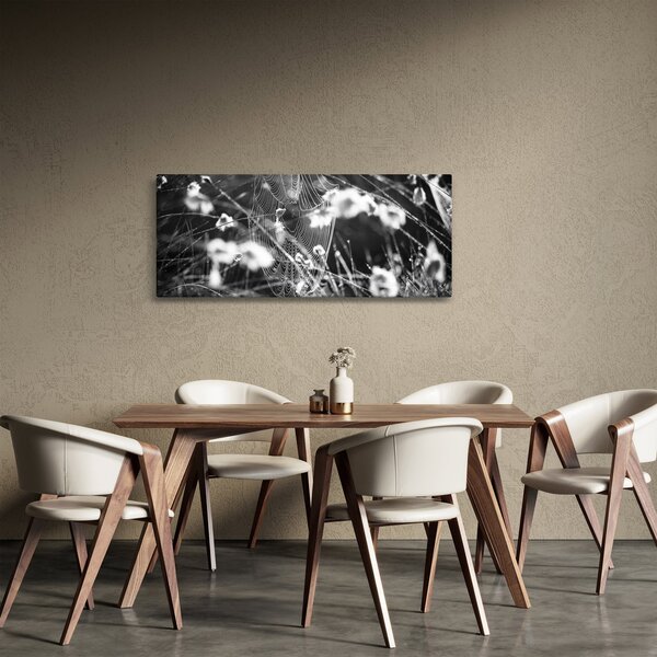 Kép - Pókháló a réten (120x50 cm)