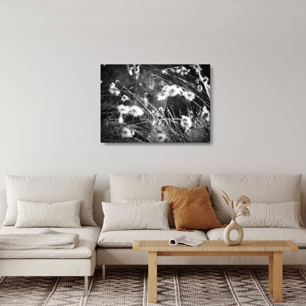 Üveg kép - Pókháló a réten (70x50 cm)
