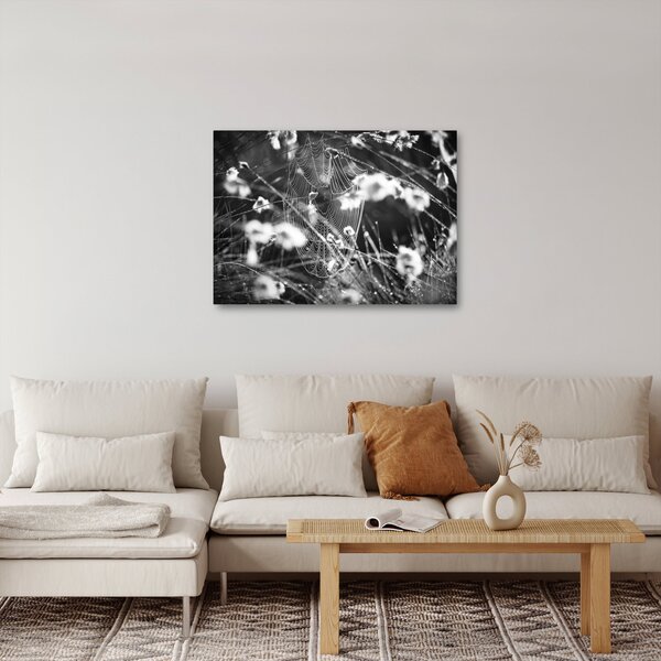 Kép - Pókháló a réten (70x50 cm)
