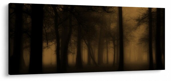 Kép - Sötét erdő (120x50 cm)