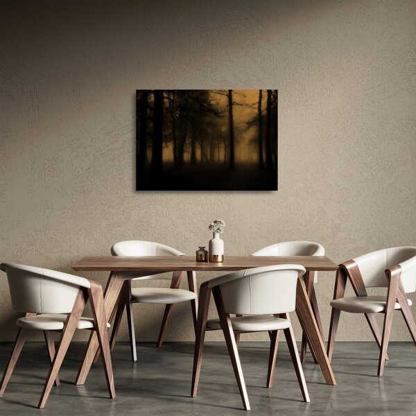 Üveg kép - Sötét erdő (70x50 cm)