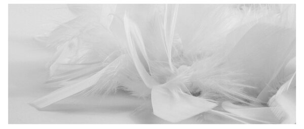 Kép - Tollak (120x50 cm)