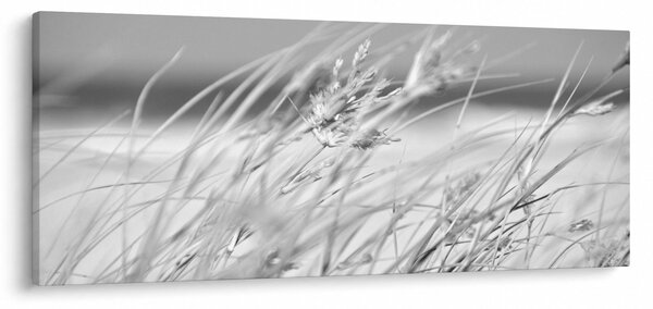 Kép - Strandfű (120x50 cm)