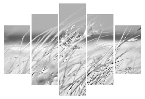 Kép - Strandfű (150x105 cm)