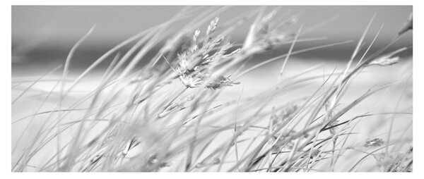 Kép - Strandfű (120x50 cm)