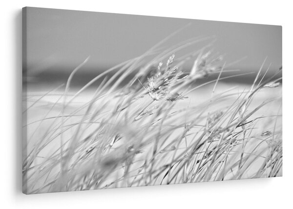 Kép - Strandfű (90x60 cm)