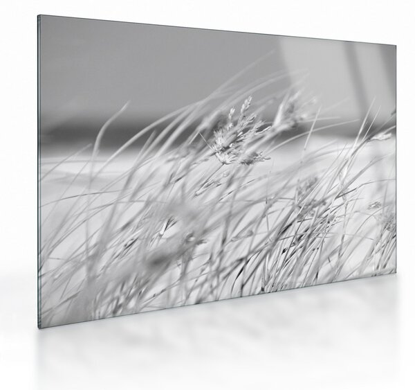 Üveg kép - Strandfű (70x50 cm)