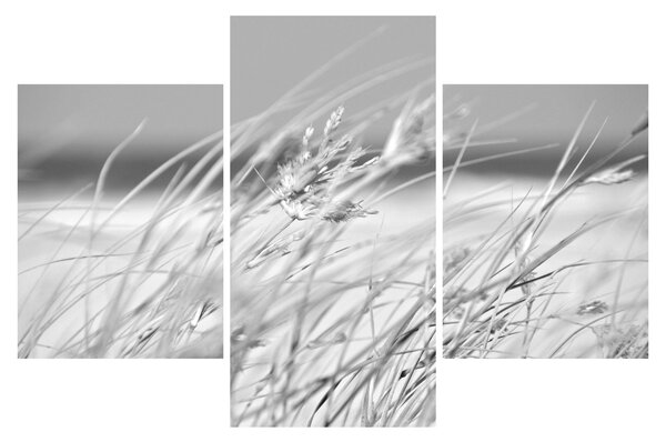 Kép - Strandfű (90x60 cm)