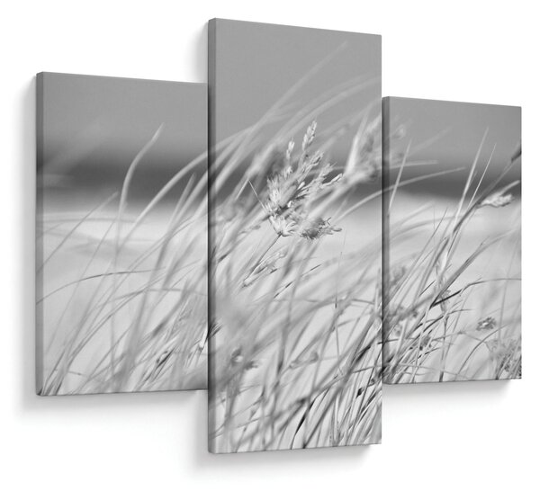 Kép - Strandfű (90x60 cm)