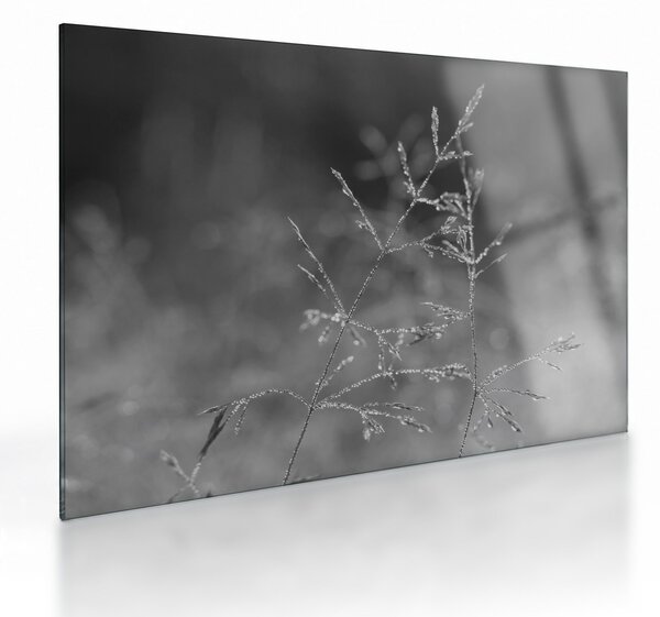 Üveg kép - Vidéki rét (70x50 cm)