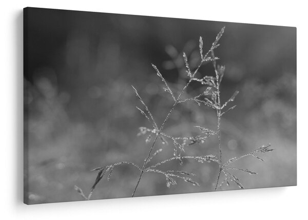 Kép - Vidéki rét (90x60 cm)