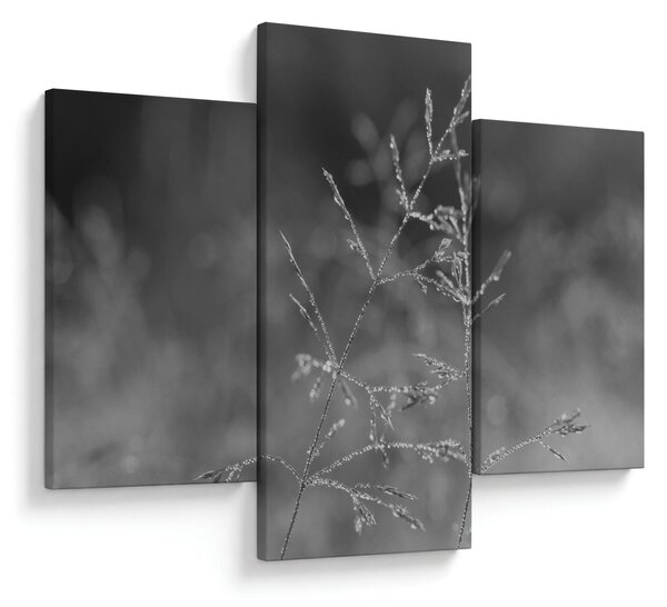 Kép - Vidéki rét (90x60 cm)