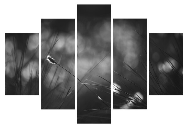 Kép - Mezei fű (150x105 cm)