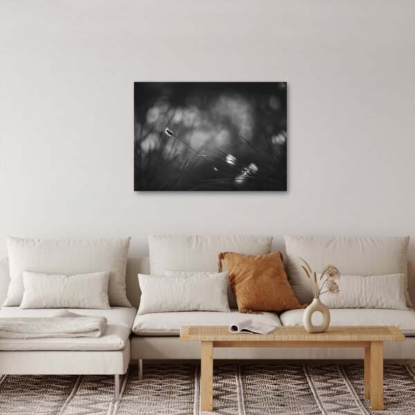 Kép - Mezei fű (70x50 cm)