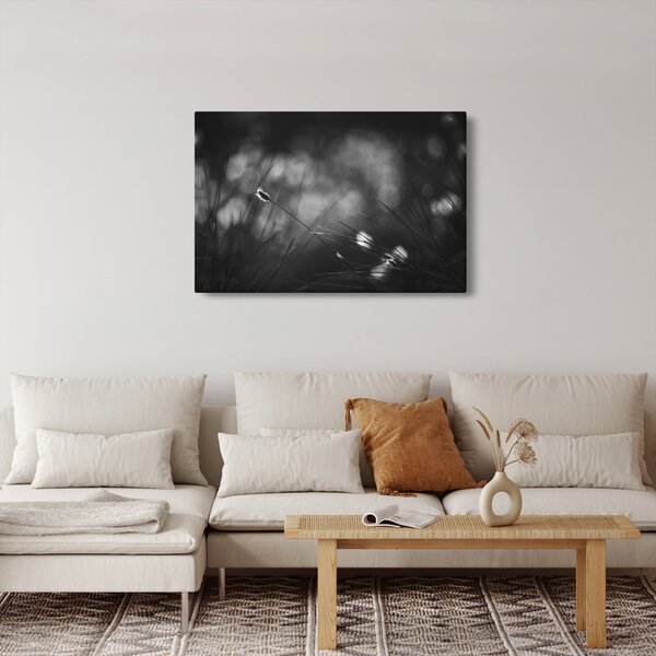 Kép - Mezei fű (90x60 cm)