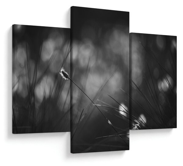 Kép - Mezei fű (90x60 cm)