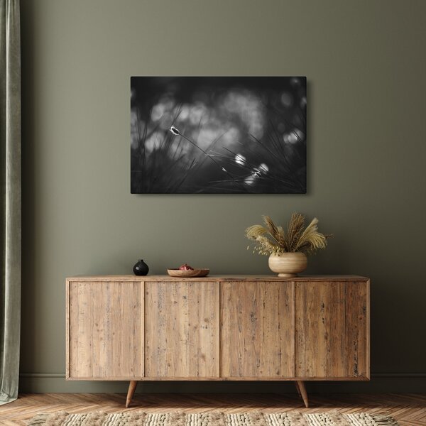 Kép - Mezei fű (90x60 cm)