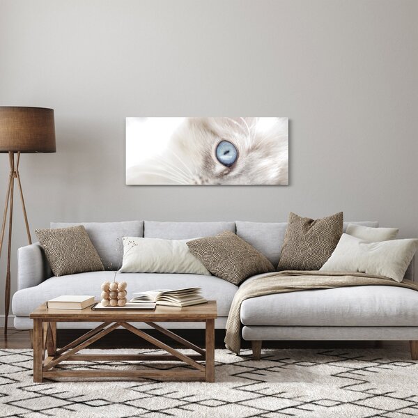 Kép - Kék szemű macska (120x50 cm)