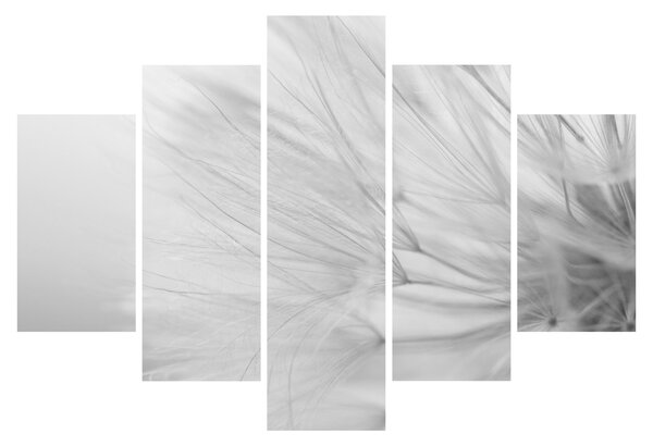 Kép - Pitypang (150x105 cm)