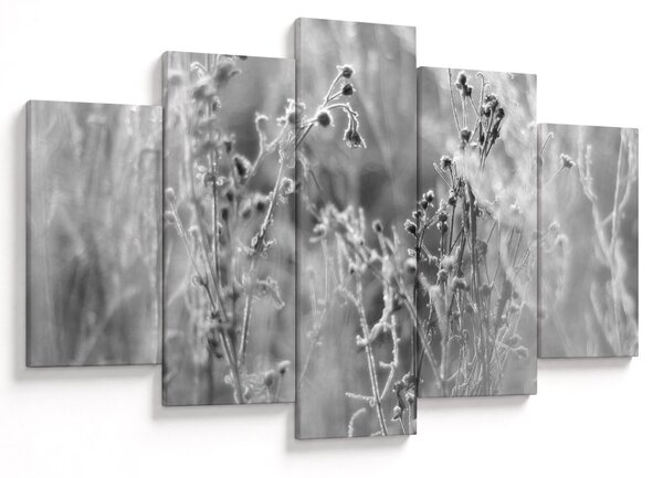 Kép - Wild Meadow (150x105 cm)