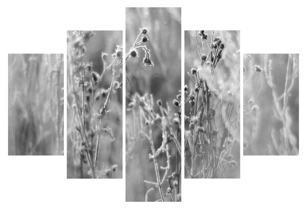 Kép - Wild Meadow (150x105 cm)
