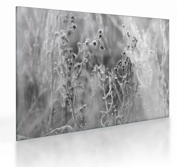 Üveg kép - Wild Meadow (70x50 cm)