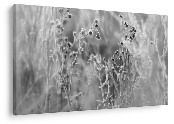 Kép - Wild Meadow (90x60 cm)