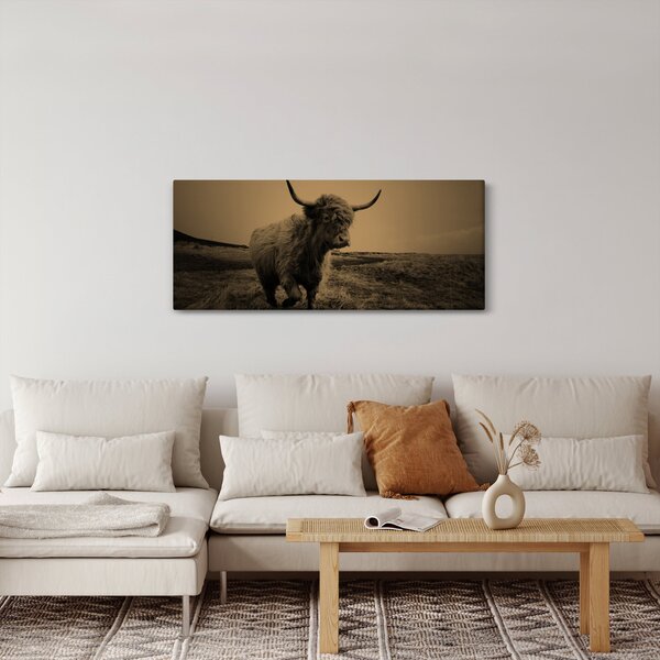 Kép - Skót tehén menekül (120x50 cm)