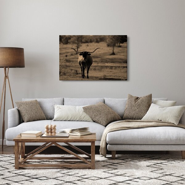 Kép - Texasi tehén (90x60 cm)