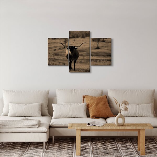 Kép - Texasi tehén (90x60 cm)