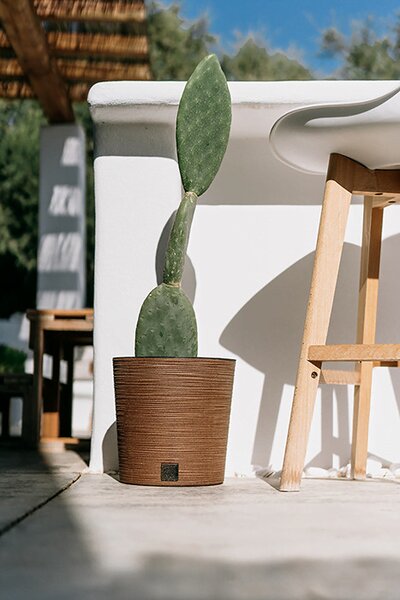 Prosperplast FURU ROUND LOW ECO WOOD kaspó 25 cm naturo