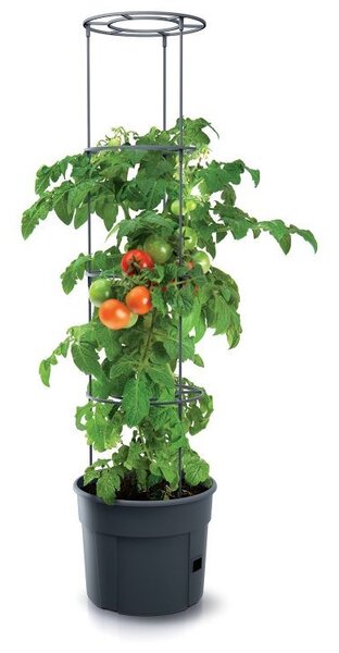 Prosperplast TOMATO GROWER kaspó paradicsom termesztésre 29,5 cm antracit