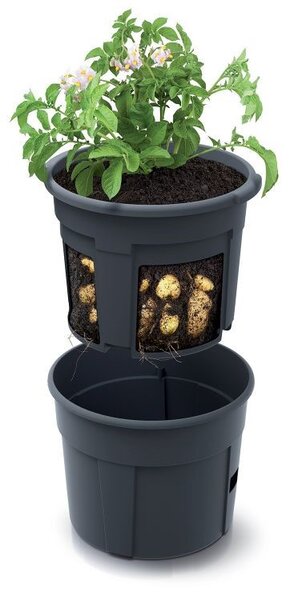 Prosperplast POTATO GROWER kaspó burgonya termesztésre 29,5 cm antracit