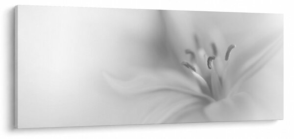 Kép - Delicate Lily (120x50 cm)