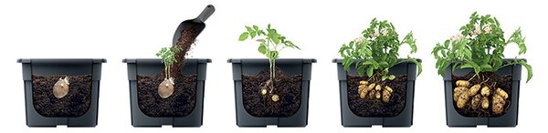 Prosperplast POTATO GROWER kaspó burgonya termesztésre 29,5 cm antracit