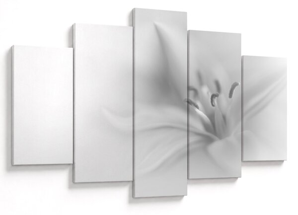 Kép - Delicate Lily (150x105 cm)