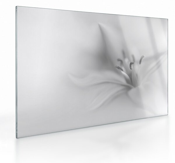 Üveg kép - Delicate Lily (70x50 cm)