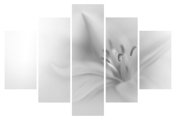 Kép - Delicate Lily (150x105 cm)