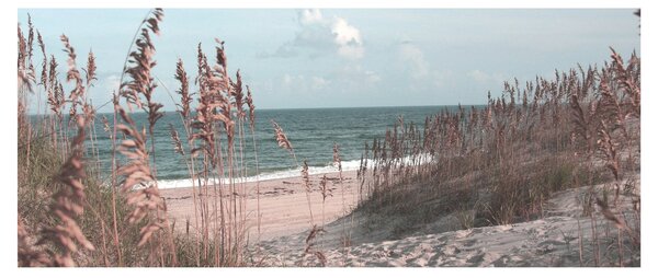 Kép - Rózsaszín strand (120x50 cm)